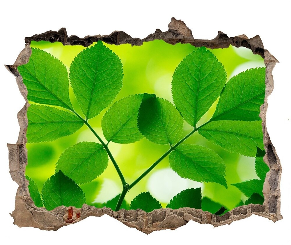 Wallmuralia.pl Samoprzylepna dziura naklejka Zielone liście