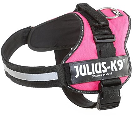 Julius-K9 162dpn, K9-power naczynia, dunkelpink, 2, ciemnoróżowy 5999053663117
