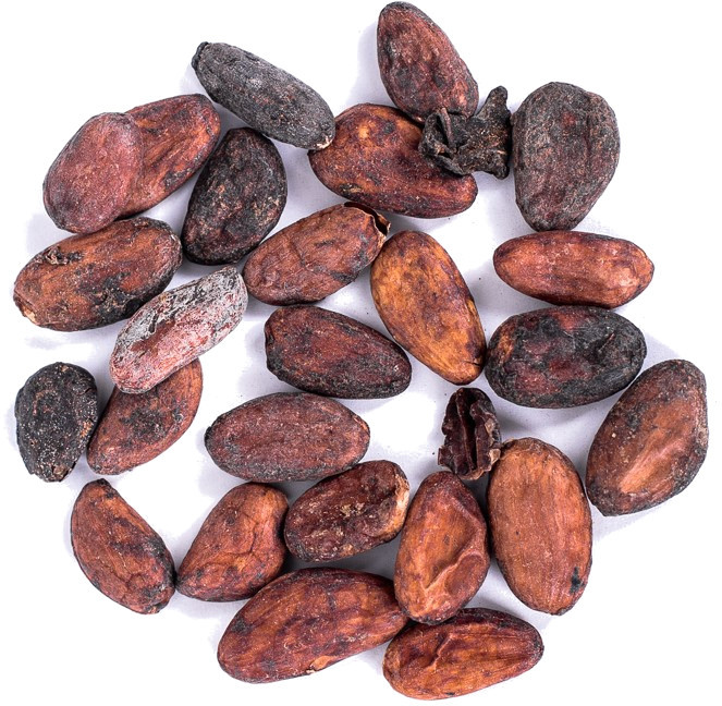 Planteon Kakao ziarno całe surowe 10kg 2-0077-02-7