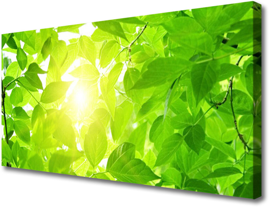 PL Tulup Obraz Canvas Liście Natura Słońce Roślina 140x70cm