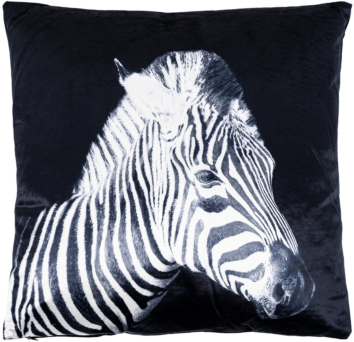 Poduszka Zebra, 45 x 45 cm