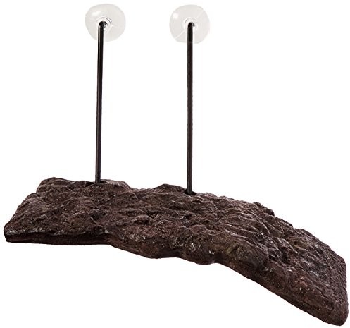 Zoo Med zoomed Turtle Dock, small