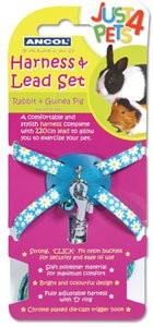 Ancol ancol Just 4 Pets Small Animal Harness & Lead Set Blue Polka X3