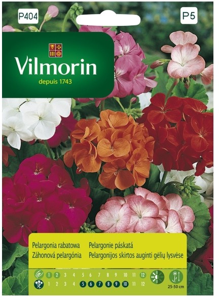 Vilmorin Nasiona pelargonia rabatowa