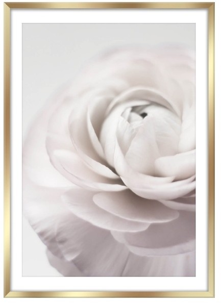 Obraz Art Petals 50 x 70 cm FP012