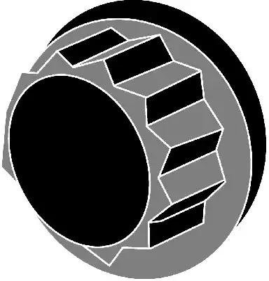 Reinz reinz 14  55002  01 śruba z łbem walcowym zestawu 14-55002-01