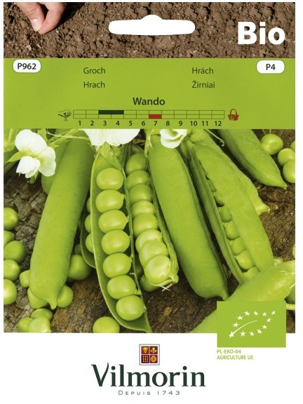 Vilmorin Nasiona groch Wando