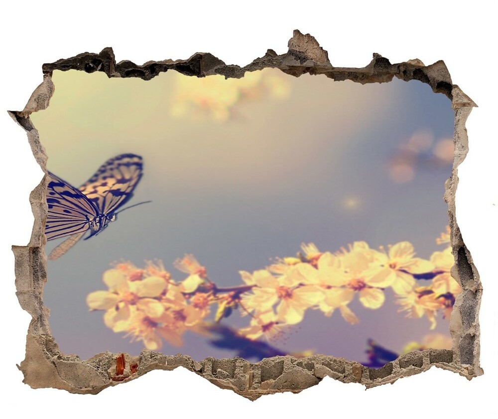 Wallmuralia.pl Fototapeta dziura na ścianę Kwiat wiśni i motyl