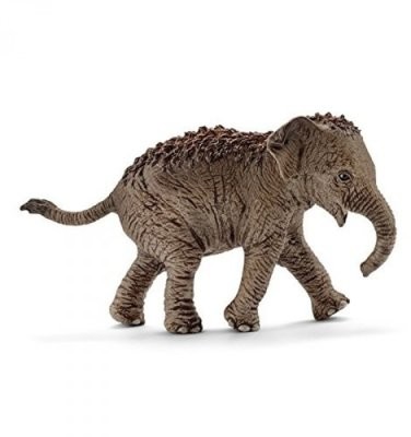 Schleich Młody Słoń Azjatycki 14755