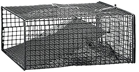 Frabill Pułapka na metalowym RAK reuse RAK reuse RAK kosz 0