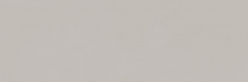 Saloni Ceramica Interni Cenere 40x120 Saloni_EDM713
