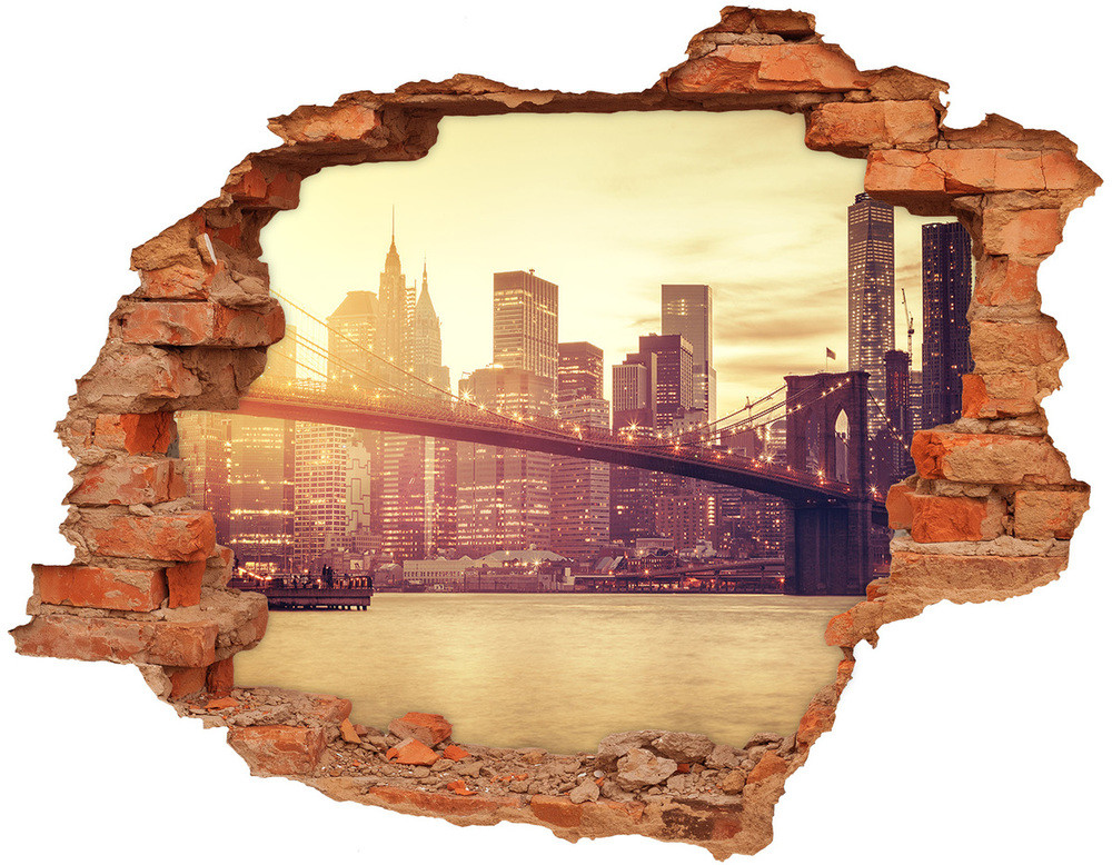 Wallmuralia.pl Fototapeta dziura na ścianę Manhattan Nowy Jork