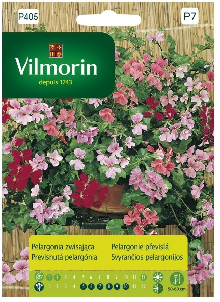 Vilmorin Nasiona pelargonia zwisająca
