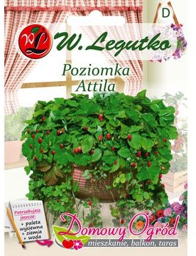 Legutko Poziomka Attila 0,1g Domowy ogród