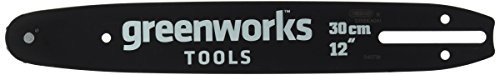 Greenworks Tools 30 cm prowadnica do 40 V akumulator do piły Łańcuch (20117), czarna, 10 x 51 x 2 cm,,,,, 29517