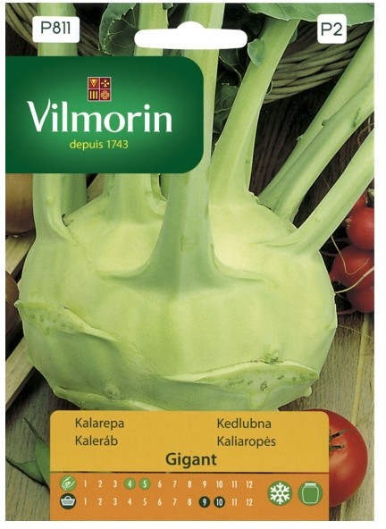 Vilmorin Nasiona kalarepa Gigant