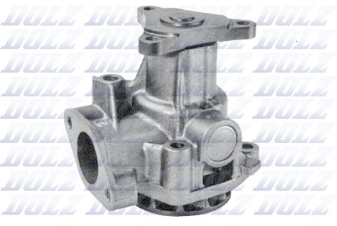 Dolz INDUSTRIAS Pompa wodna INDUSTRIAS S189
