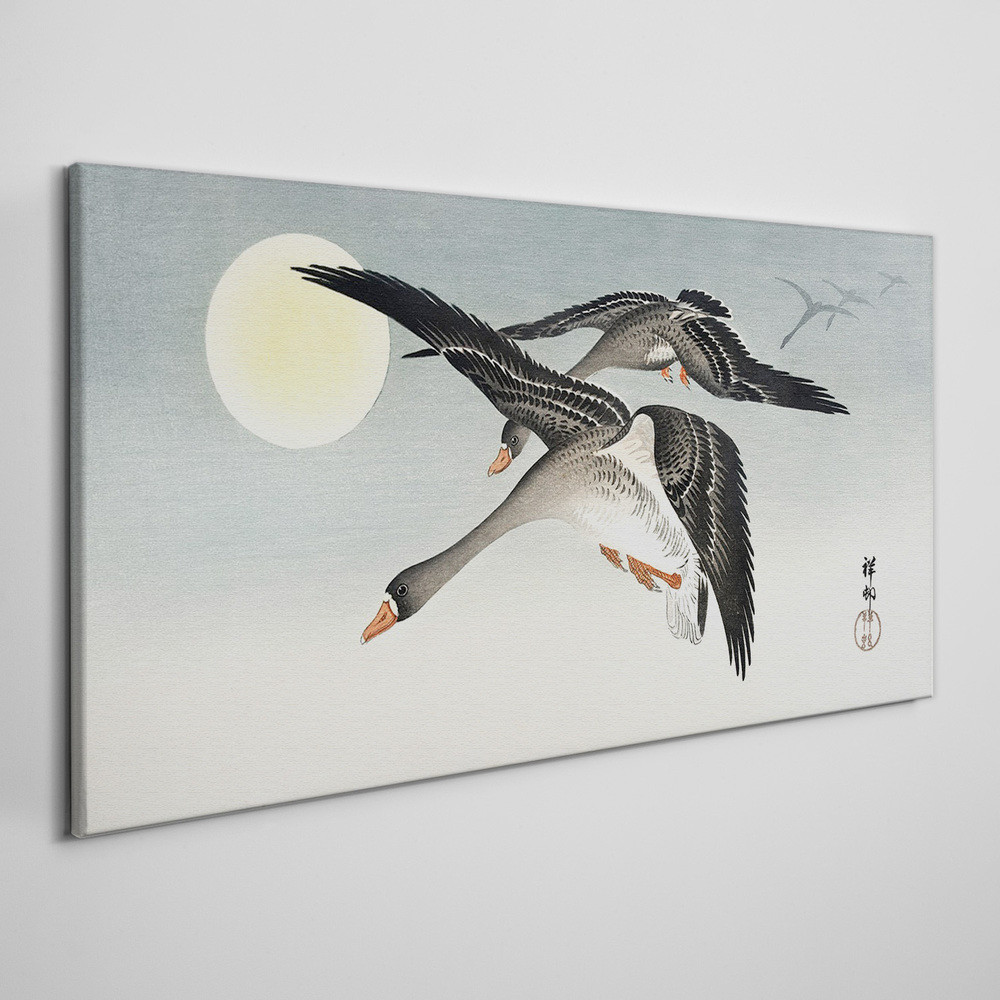 PL Coloray Obraz na Płótnie Zwierzęta Ptaki Niebo Słońce 100x50cm