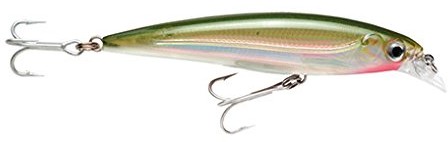 Rapala X-Rap Saltwater Fishing Lure SXR10