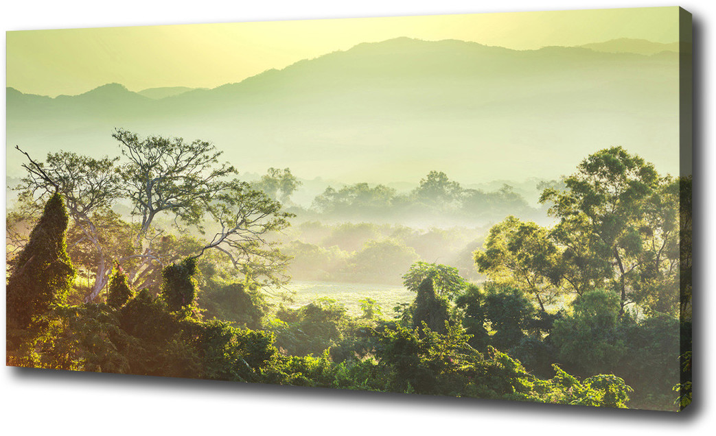 Foto obraz canvas Dżungla