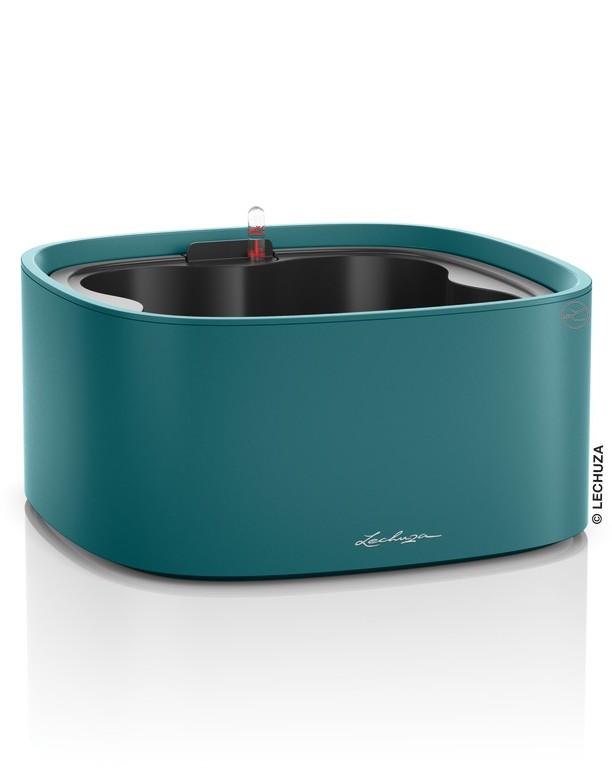 Lechuza Misa Pila niebieski | petrol blue
