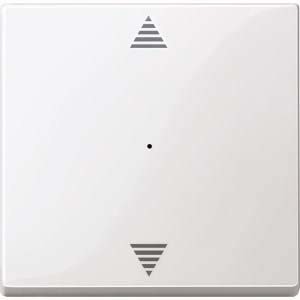 Merten przełącznik kołyskowy zapewnia przycisk moduł 1 komora na lotki do/od, system M, biel polarna połyskująca, meg5215 0319