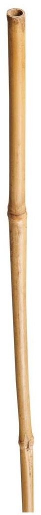 Nortene Tyczka bambusowa 210cm x 15/18 mm