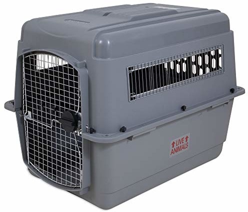 Beeztees Pudełko transportowe nadaje się dla psów, skykennel No 4, Grey, 91 x 63 x 68 cm, szary
