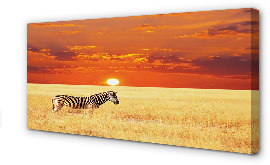PL Tulup Obrazy na płótnie Zebra pole zachód słońca 140x70cm