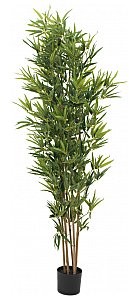 Europalms EUROPALMS Bamboo deluxe, sztuczna roślina babmbus, 180 cm 82509167