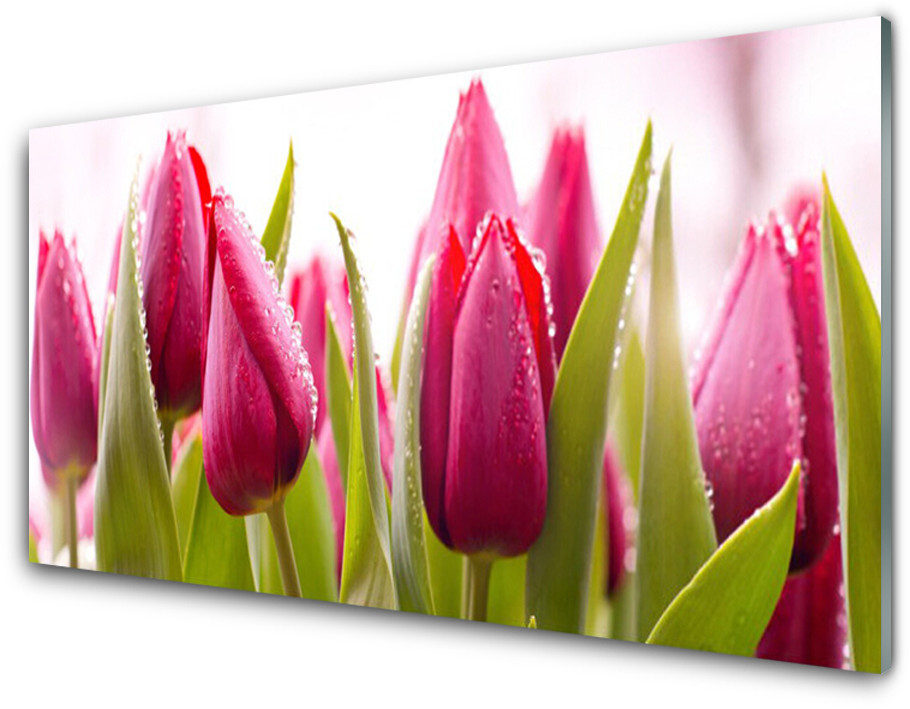 Tulup.pl Panel Szklany Tulipany Kwiaty Roślina 100x50cm