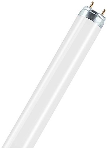 Osram TL-D 30 Watt 76 natura Food żywności (DIN 10504) Osram 30 W 999029615046