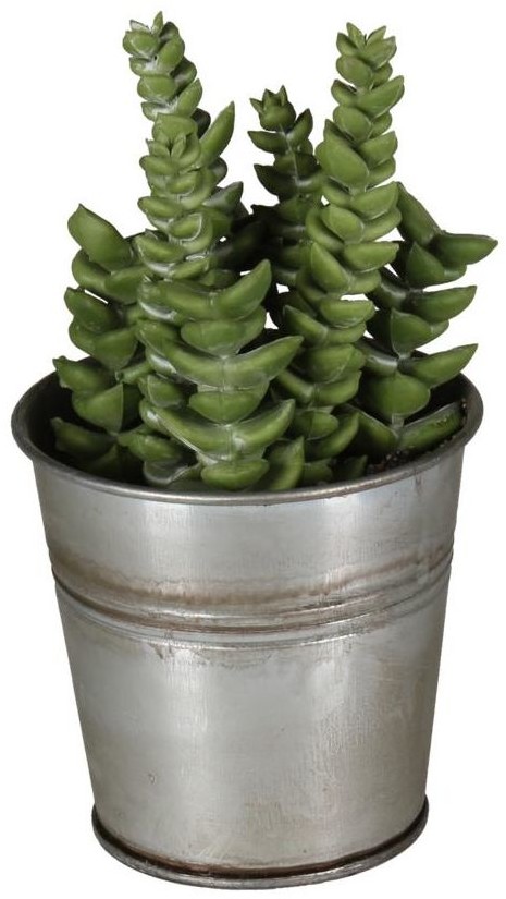 SPLENDID Sukulent sztuczny w doniczce 14 cm SPLENDID