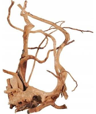 Zolux Dekoracja akwarystyczna Spider Wood 356052 40 50 cm)