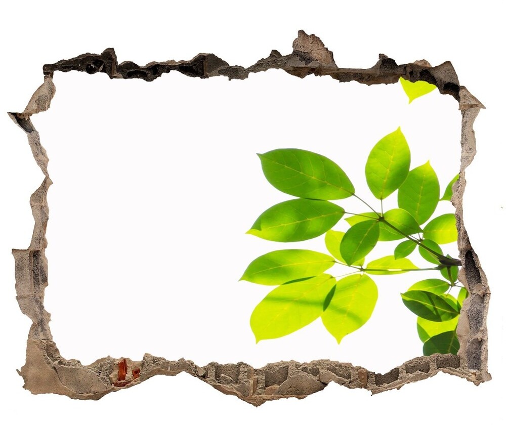 Wallmuralia.pl Samoprzylepna naklejka fototapeta Liście