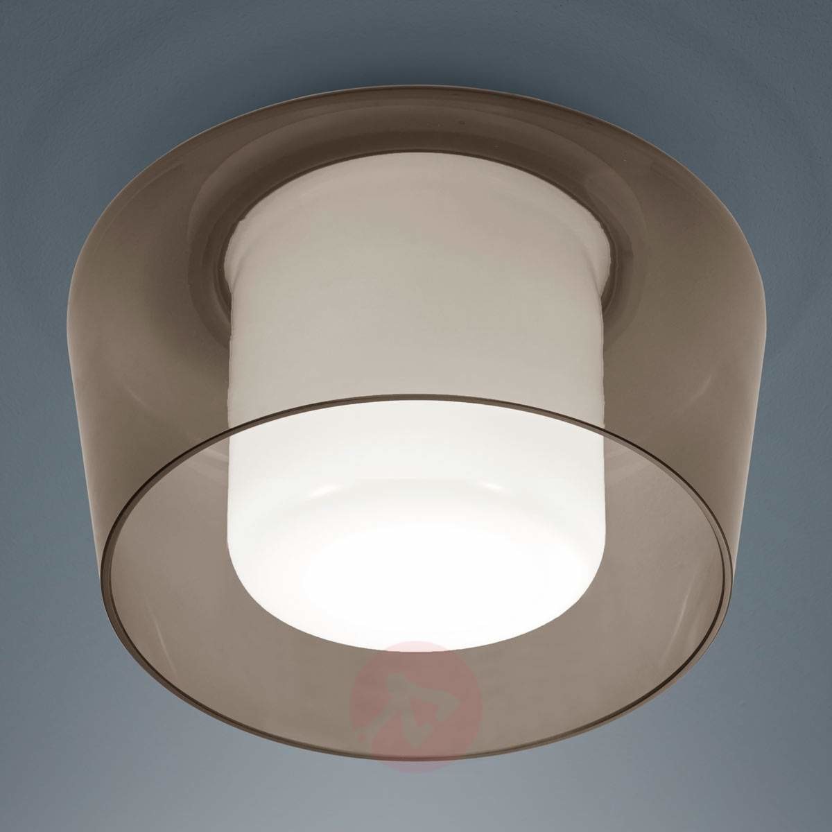 Helestra Canio Lampa sufitowa Biały, Czerwony, 1-punktowy 15/1735.07/5241