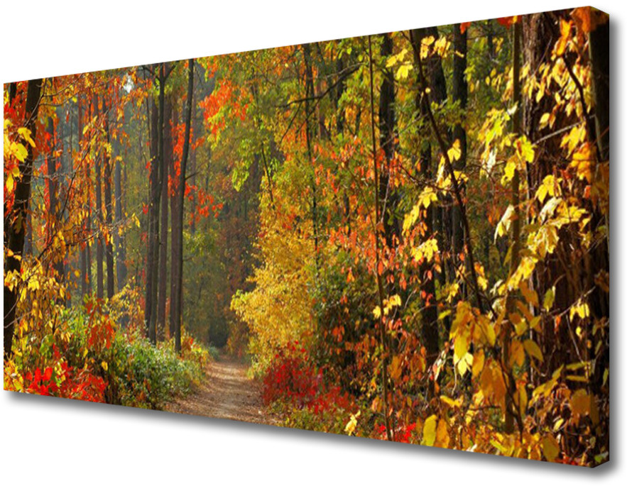 PL Tulup Obraz Canvas Las Natura Jesień 100x50cm