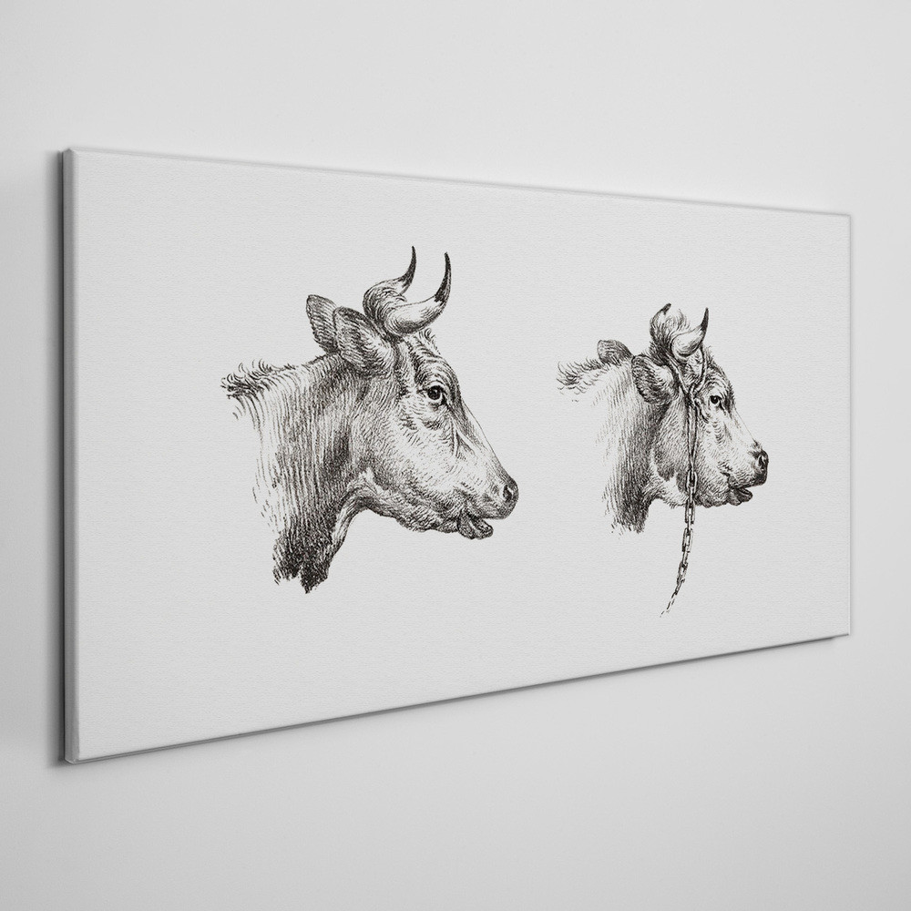 PL Coloray Obraz na Płótnie Rysunek Zwierzęta Krowy 100x50cm