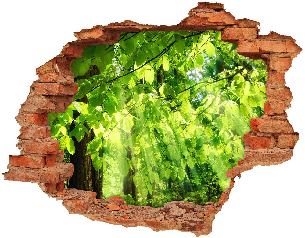 Wallmuralia.pl naklejka fototapeta 3D widok Liście buku