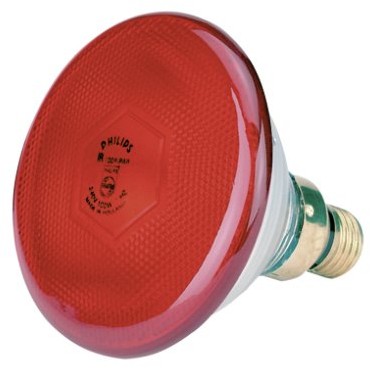 Philips KERBL lamben oszczędzania na podczerwień firmy 22303