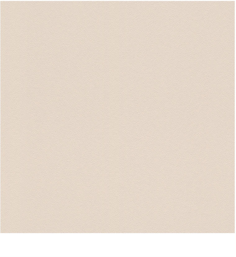 Rasch Tapeta Modern Surfaces 2 607789 0,53x10,0/Tapeta Flizelinowa/GAT 1 RA 607789