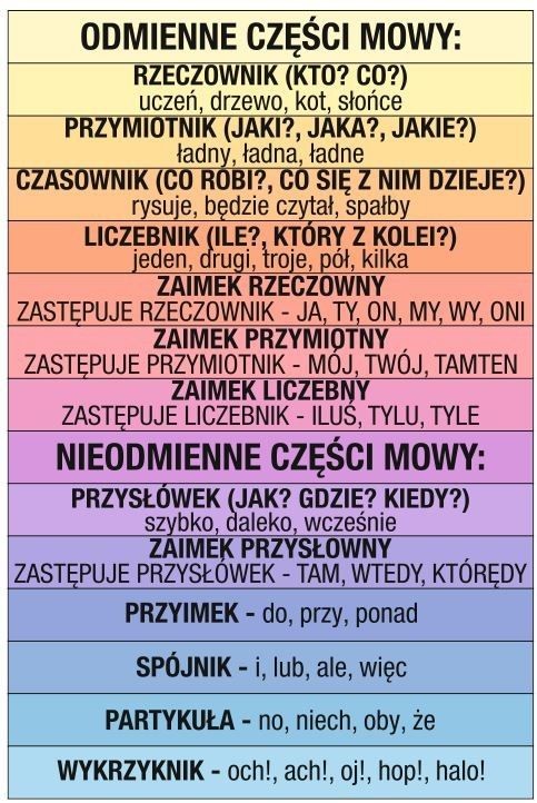 Odmienne i nieodmienne części mowy- naklejki na schody ES077