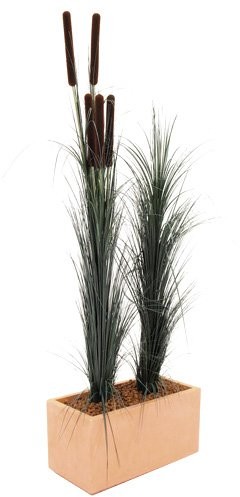 Europalms Euro Palms 82505854 statek z tłok do trawy 152 cm, ciemnozielona 82505854