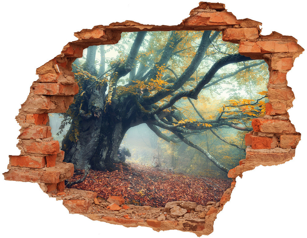 Wallmuralia.pl Fototapeta naklejka na ścianę Stare drzewo
