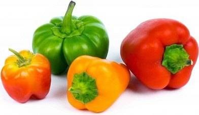 Veritable Veritable wkład nasienny Lingot - papryka VE-0068579