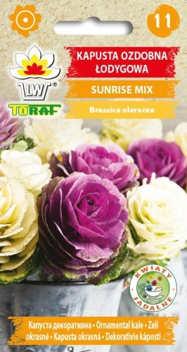 Toraf Kapusta ozd. łod. Sunrise mix 10 szt. Nas000373