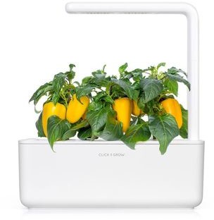 Kapsułki roślinne Click & Grow Pods Yellow Sweet P Kapsułki roślinne Click &amp Grow Pods Yellow Sweet Pepper Słodka żółta papryka YellowSweetPepper