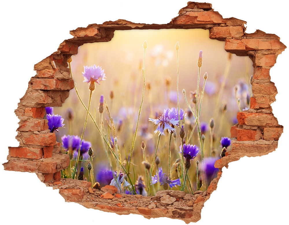 Wallmuralia.pl Samoprzylepna dziura naklejka Polne kwiaty