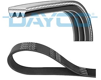 DAYCO Pasek klinowy wielorowkowy DAYCO 3PK719