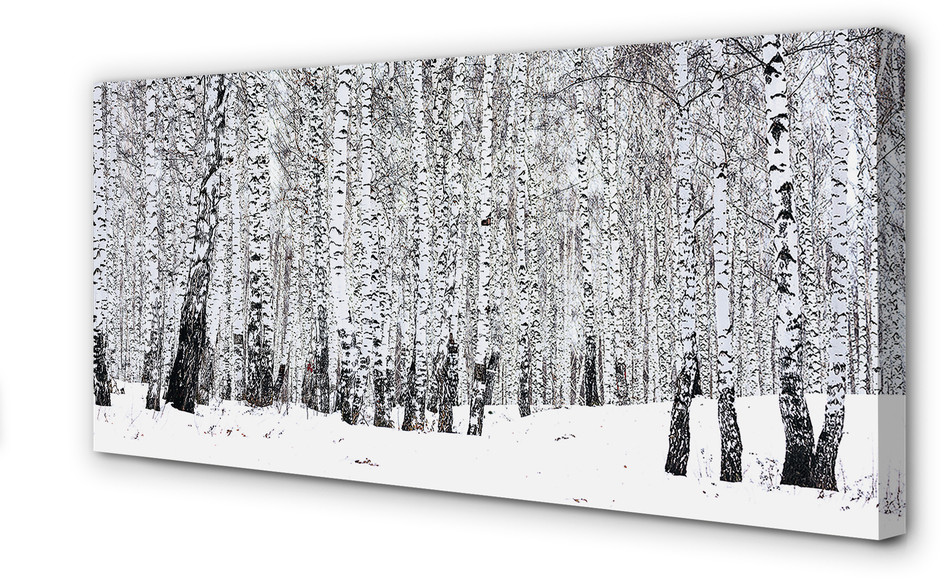 PL Tulup Obrazy na płótnie Drzewa zima śnieg brzozy 100x50cm